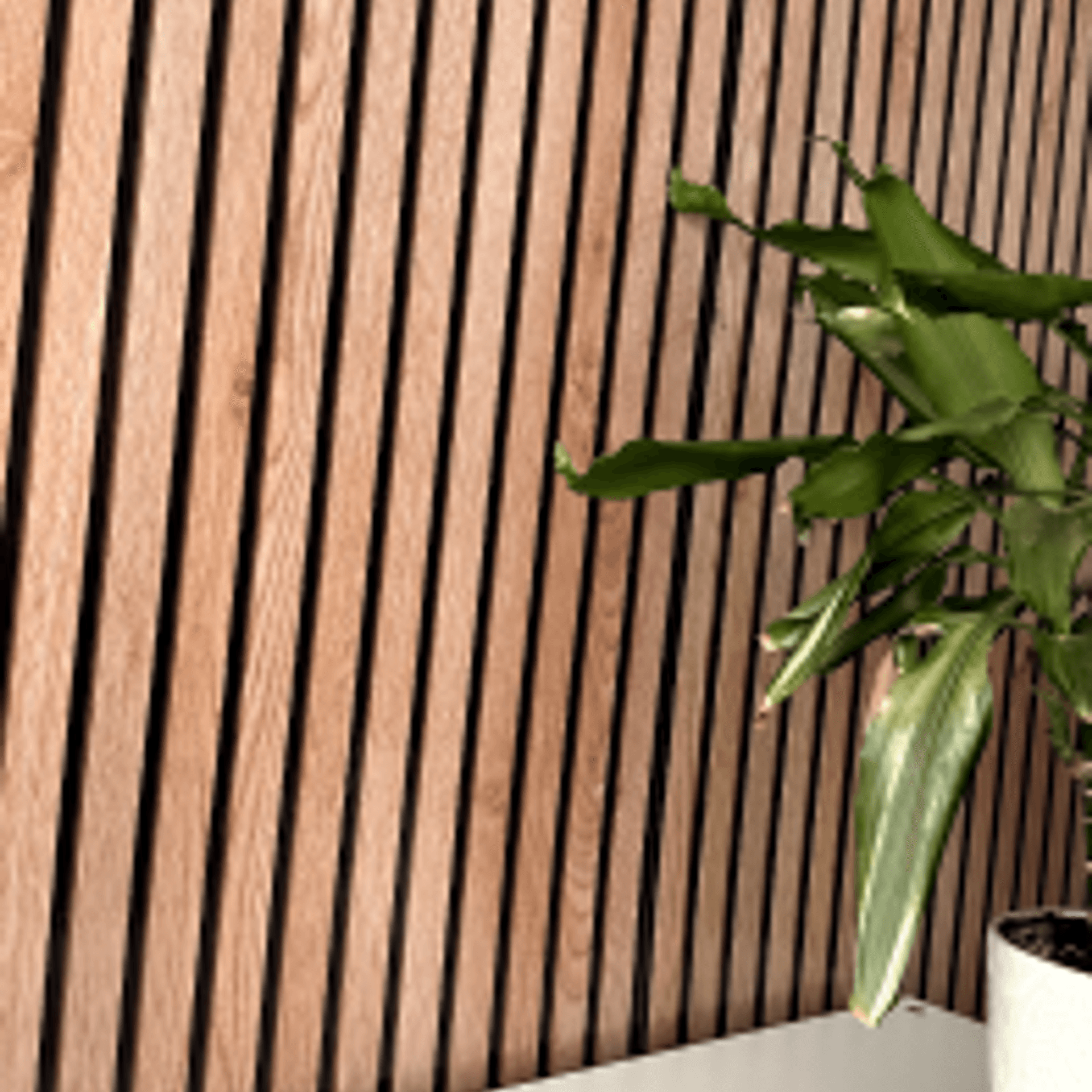 Imatge Passi projectes 3